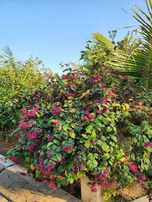 Farmhouse Close To Nature - Kesari Farm Gandhinagar Kültér fotó